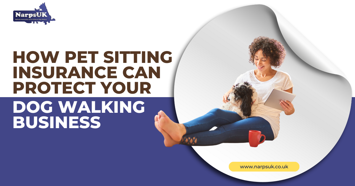 How Pet Sitter Insurance Can Protect Your Business